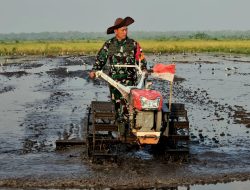 Ketahanan Pangan Nasional Sebagai Diplomasi Strategis Global