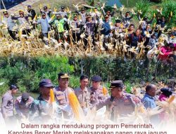 Jagung Melimpah di Alur Gading, Polres Bener Meriah Gelar Panen Raya Bersama Warga