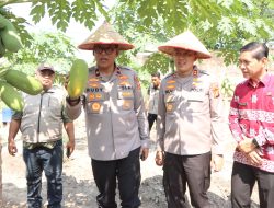 Brigjen Rudy Syafirudin Apresiasi Desa Percontohan P2B Banyuasin: “Tiap Rumah Harus Punya 7-8 Jenis Tanaman!”