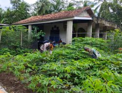 Dorong Masyarakat Manfaatkan Lahan Pekarangan Rumah