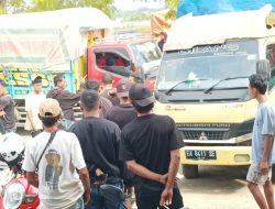 Bulog Bima Serap Jagung Menimbulkan Polemik, Camat Woha Ancam Tutup Gudang Bulog di Talabiu