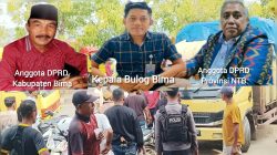 Biaya Sewa Mobil Pengangkut Jagung Petani Ditiadakan, DPRD Bima dan DPRD NTB Soroti Kebijakan Sepihak Bulog 