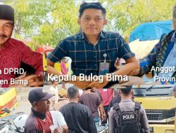 Biaya Sewa Mobil Pengangkut Jagung Petani Ditiadakan, DPRD Bima dan DPRD NTB Soroti Kebijakan Sepihak Bulog 