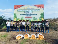 Panen Raya Jagung Serentak: Polres Mesuji dan Bupati Sinergi Wujudkan Ketahanan Pangan