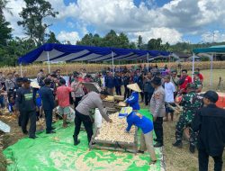 Panen Raya Jagung Serentak Quartal II dan Zoom Meeting Bersama Presiden RI Digelar di Dusun Muara, Desa Tunang