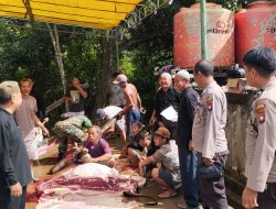 Polsek Mempawah Hulu Pantau Pemotongan Hewan Kurban