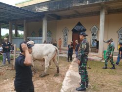 Memperkuat Iman dan Kebersamaan, Satgas 141/AYJP Idul Adha di Bumi Papua