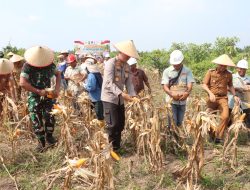 Kapolsek Sungsang Hadir Kunjungan Delegasi CGIAR Ke Desa Pilot CIFOR – ICRAF