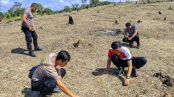 Pengecekan Pertumbuhan Tanaman Jagung Lahan Percontohan Polsek Menyuke