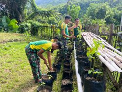 Satgas Pamtas Yonarmed 11 Kostrad Wujudkan Kemandirian Pangan di Lumbis Hulu, Nunukan
