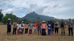 Wujudkan Ketahan Pangan, Polsek Mempawah Hulu Tanam Jagung Area Dem­­plot