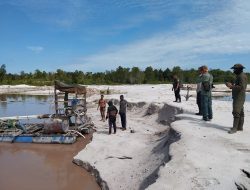 Patroli Gabungan Amankan Mesin Sedot di Kawasan Cagar Alam Desa Mandor