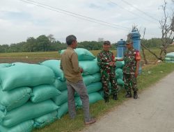 Babinsa Komsos dengan Petani, Tanyakan Harga Gabah dan Kondisi Pertanian