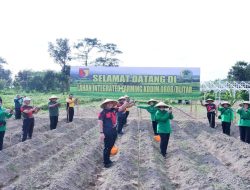 Pematangan Lahan Siap, Kodim 0808/Blitar Tanam Bibit Di Lahan Integrated Farming Desa Dandong