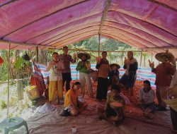 Bintara penggerak panen jagung di Desa Amawangk