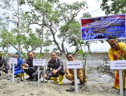 Cegah Abrasi, Satgas Trisila-25 dan Pemkab Nabire Tanam 1.000 Mangrove di Pesisir Samabusa