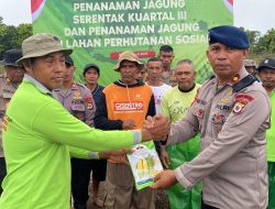 Satuan Brimob Polda Maluku Tanam Jagung di Lahan Satu Hektar