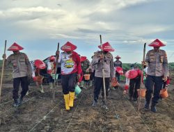Polres Landak Tanam Jagung Serentak Dukung Swasembada Pangan 2025