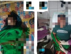 Warga Sipil Tewas Ditembak OTK di Puncak Jaya, Satgas Ops Damai Cartenz Selidiki Keterlibatan KKB