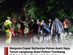 Respons Cepat Satlantas Polres Aceh, Turun Langsung Atasi Pohon Tumbang di Jalur Jalur Nasional, Lalu Lintas Kembali Normal