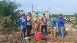 Kapolsek Muara Padang Pimpin Penanaman Jagung Kuartal III