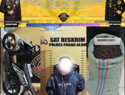 Tertangkap Tangan Habis Mencuri Buah Kopi Pelaku Remaja Asal Lahat Diamankan Warga Diserahkan ke Polisi
