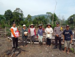 KWT Raya Abadi Sebadu Laksanakan Tanam Jagung Juli 2025, Dukung Program Nasional 1 Juta Hektar