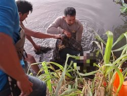 Polres Loteng Evakuasi Penemuan Mayat di Aliran Sungai Kemulah ‎
