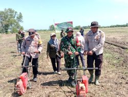 Wakili Kapolsek Makarti Jaya, Kasubsektor Air Salek Turun Langsung Penanaman Jagung Kuartal III
