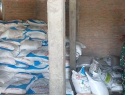 Babinsa Pantau Kebutuhan Pertanian, Sidak Ketersediaan Pupuk