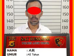Cabuli Anak Tiri, Pria di Indra Makmur Diamankan ke Polres Aceh Timur