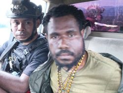 Satgas Ops Damai Cartenz Tangkap DPO KKB Roberth Wenda, Pelaku Penembakan Anggota Polri di Jayawijaya