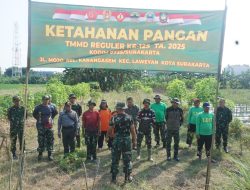 Dukung Program Kasad Tentang Ketahanan Pangan, Satgas TMMD Reguler Ke-125 Laksanakan Kerjabakti Penyiapan Lahan Penanaman Jagung