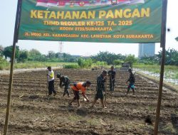 Satgas TMMD Reguler Ke-125 Bersama Warga Masyarakat Tanam Jagung, Dukung Ketahanan Pangan Nasional