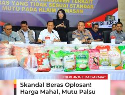 Skandal Beras Oplosan! Harga Mahal, Mutu Palsu