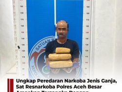 Ungkap Peredaran Narkotika Jenis Ganja, Satresnarkoba Polres Aceh Besar Amankan Tersangka dengan Barang Bukti