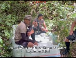 Polres Gayo Lues Temukan 14 Karung Ganja Kering Siap Edar