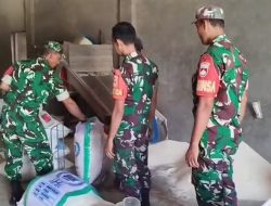 Rohmadi Cek Kualitas Beras Di Penggilingan Padi, Pastikan Stok Aman