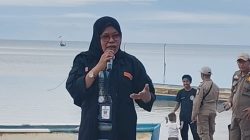 Johariah Tan : Pele Meti, Tradisi Leluhur Hanya Berada Di Desa Waelapia
