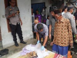 Warga Dusun Montong Are Digegerkan Penemuan Mayat Bayi di Pematang Sawah Mandalika