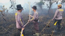 Api Lahan Gambut Dekat Jembatan Tayan Meluas, Ratusan Personel Gabungan Dikerahkan Padamkan Kebakaran