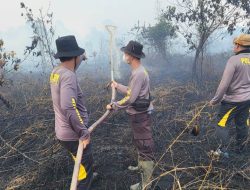 Api Lahan Gambut Dekat Jembatan Tayan Meluas, Ratusan Personel Gabungan Dikerahkan Padamkan Kebakaran