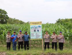 Kunjungi Ketapang, Tim Asistensi Ketahanan Pangan Polda Kalbar Tinjau Progres Penanaman Jagung Di Kecamatan Benua Kayong Dan Kecamatan Muara Pawan