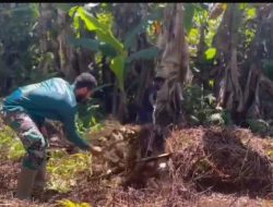 Satgas Pamtas RI-PNG Kewilayahan Yonif 763/SBA Pos Afkrem Bantu Warga Laksanakan Pembersihan Jalan di Sekitaran Kampung Afkrem
