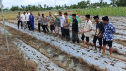 Dukung Program Ketahanan Pangan Nasional Polres SBB Bersama Pondok Pesantren Tanam Jagung