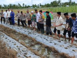 Dukung Program Ketahanan Pangan Nasional Polres SBB Bersama Pondok Pesantren Tanam Jagung