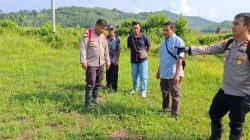 Kapolsek dampingi Pamatwil cek progres Demplot Jagung 1 Desa 1 Hektar
