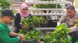 Ketahanan Pangan, Bhabinkamtibmas Palmerah dan Warga Palmerah Panen Pokcoy Hasil Kebun Bersama