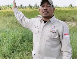 Swasembada Pangan Wujud Nyata Program Pak Prabowo Pro Terhadap Rakyat