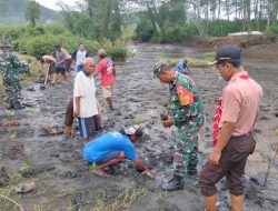Babinsa Desa Wates, Pramuka Dan Warga Bersatu Lestarikan Alam Dengan Menanam Mangrove
